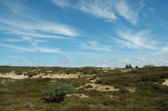 Dünen Sylt 1