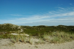 Dünen Sylt 2