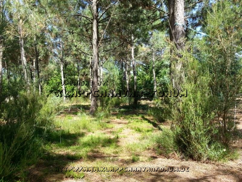 Gironde3