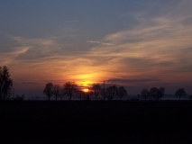 Abends im Donaumoos