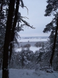 Die Elbe im Winter