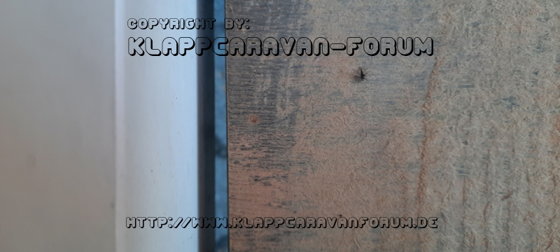 20210331_190415