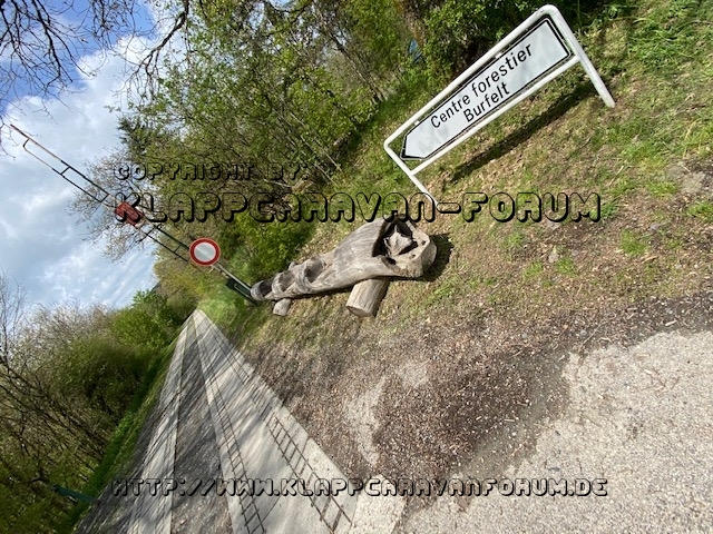baum4