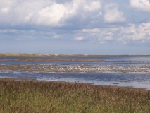 Langerhuse DK Sommer 08 Landschaft Richtung Thyboron