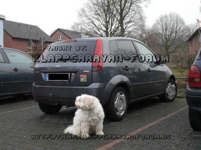 Zugfahrzeug für unsern Kingway