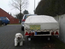 Kingway mit Zugpferd