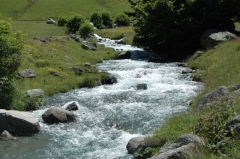 Bergbach unterhalb des Col du Tourmalet