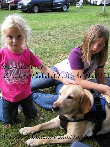 Noordwijk 2009 - Benny wird verwöhnt