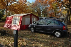 Falter im Herbst - Ende Oktober in Ostfriesland