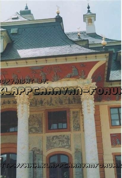 Rätselbild - Röhricht