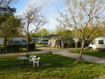 Camping in Pisa