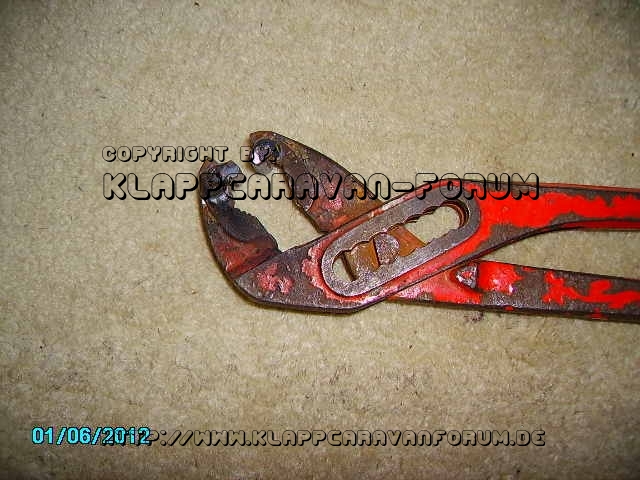 PICT0781