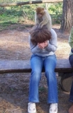 Im Affenwald Malchow