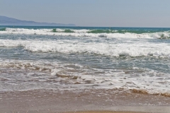 La Ballena Alegre