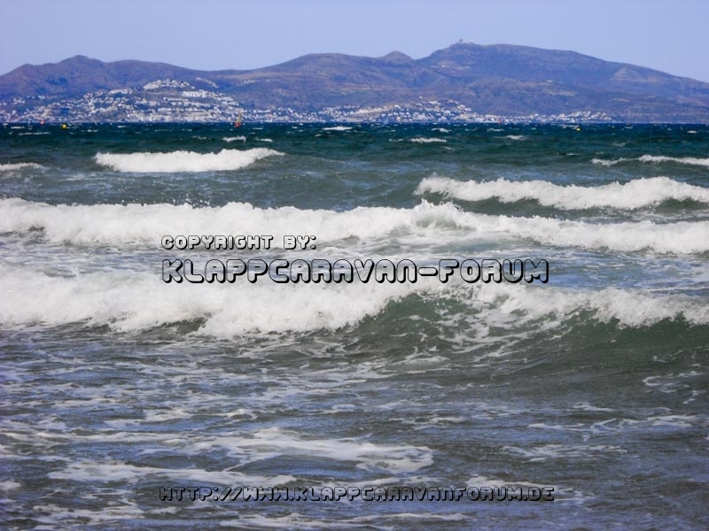 La Ballena Alegre