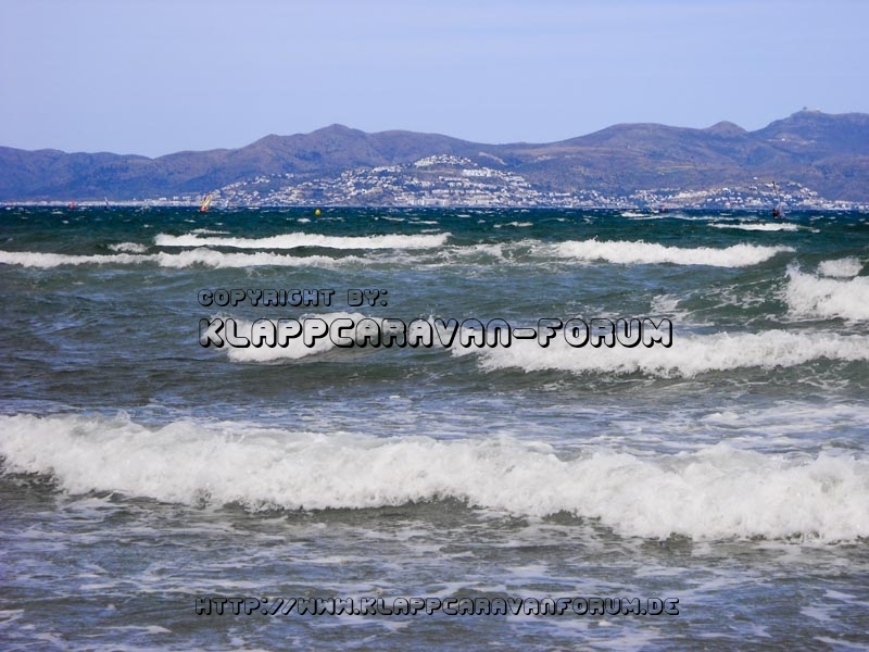 La Ballena Alegre