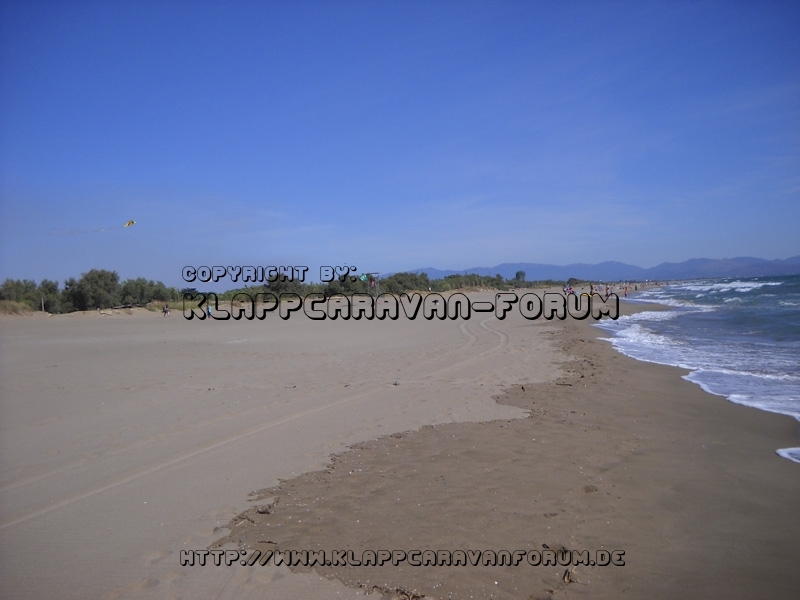 La Ballena Alegre