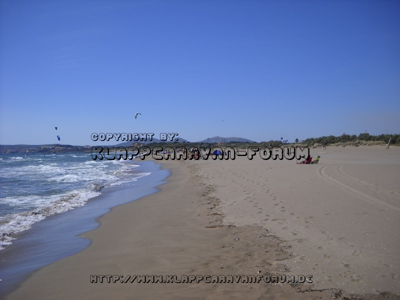 La Ballena Alegre