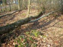 versperrter Weg