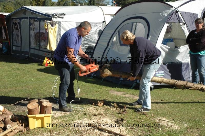 Holz 1