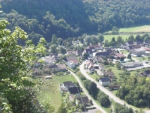 Rätselbild Gelbfüssler