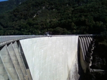 Staumauer