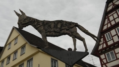 Bilderrätsel Wolf